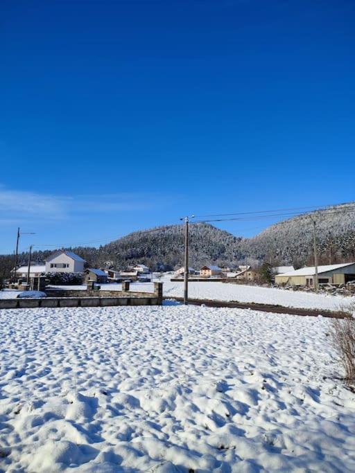 Gite Cosy Avec Avec Jardin Et Parking Privatifs - Hautes Vosges Saint-Ame Exterior photo
