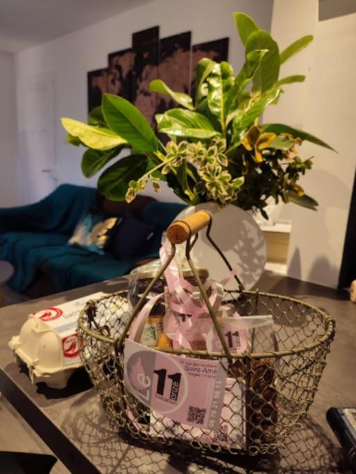 Gite Cosy Avec Avec Jardin Et Parking Privatifs - Hautes Vosges Saint-Ame Exterior photo