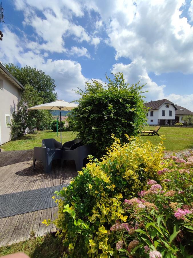 Gite Cosy Avec Avec Jardin Et Parking Privatifs - Hautes Vosges Saint-Ame Exterior photo