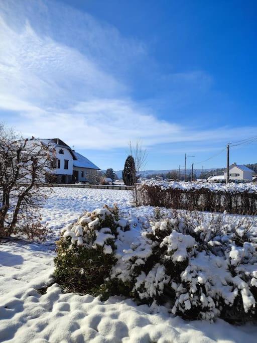 Gite Cosy Avec Avec Jardin Et Parking Privatifs - Hautes Vosges Saint-Ame Exterior photo